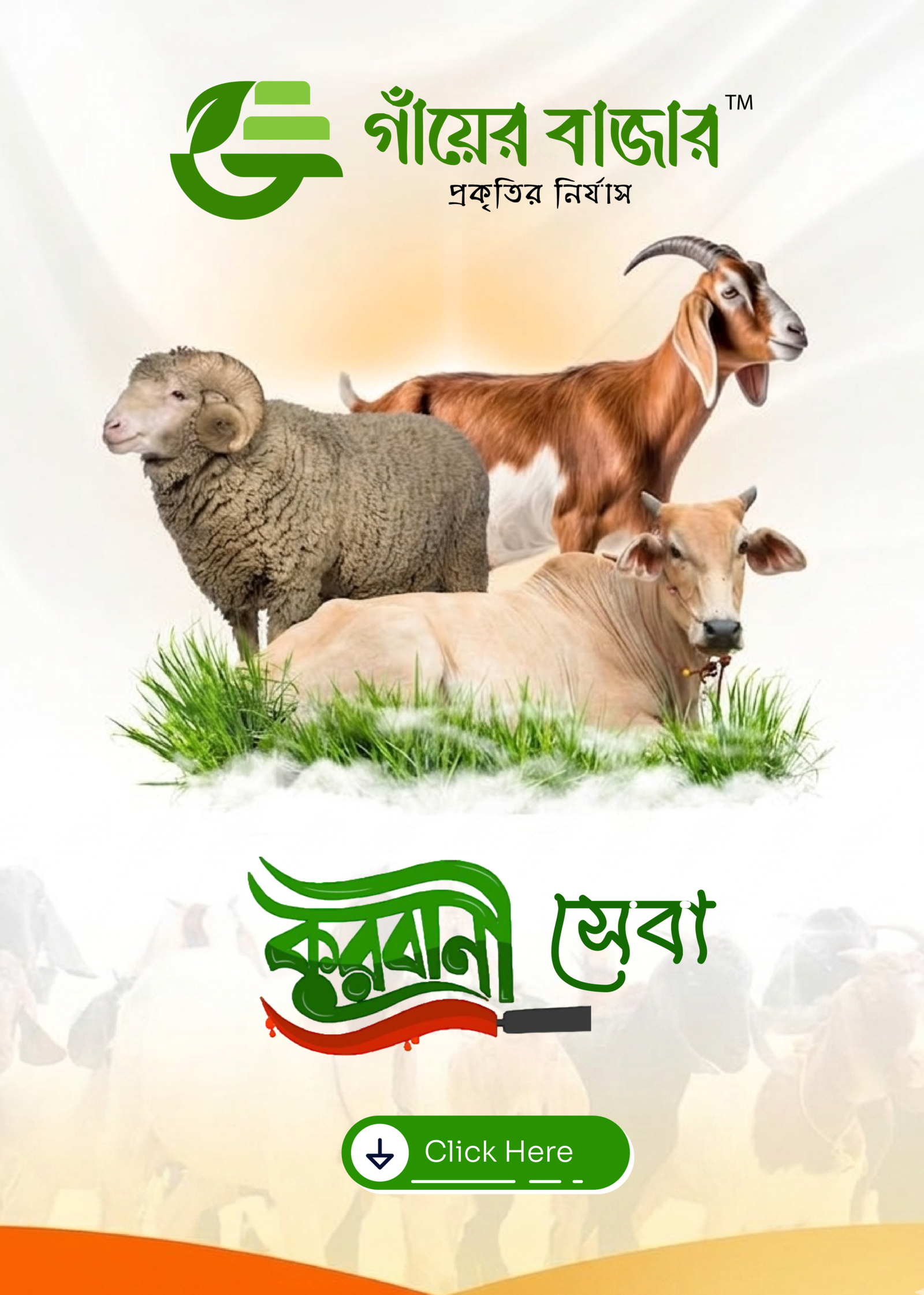 web qurbani gb-02-02