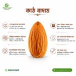 কাঠ বাদাম (Nuts)