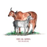 QURBANI