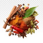 SPICES