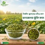 Pumpkin seeds (কুমড়ার বীজ) - Image 2